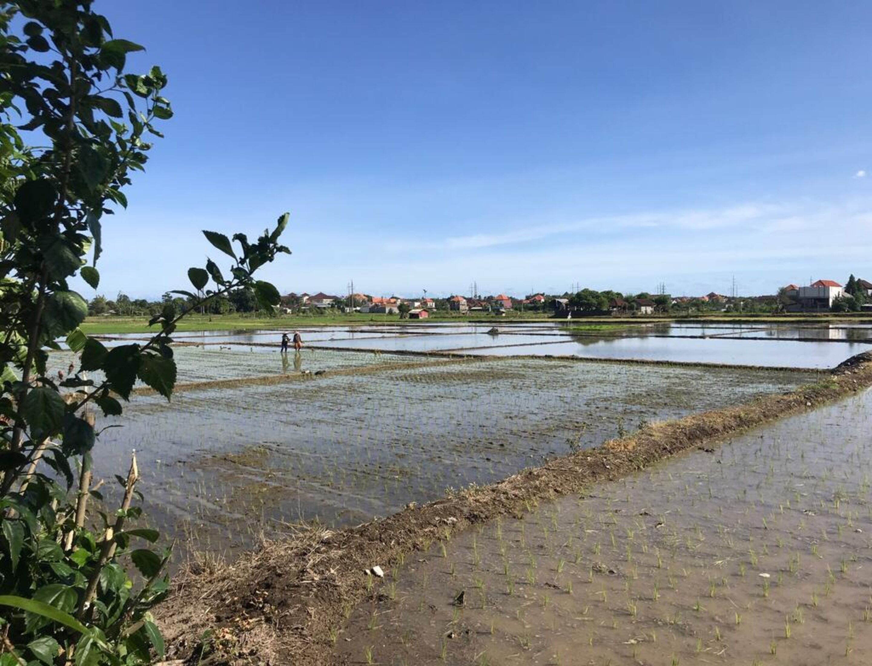 Foto - Bali Eco Living Yoga Healing Meditation and Retreat Center