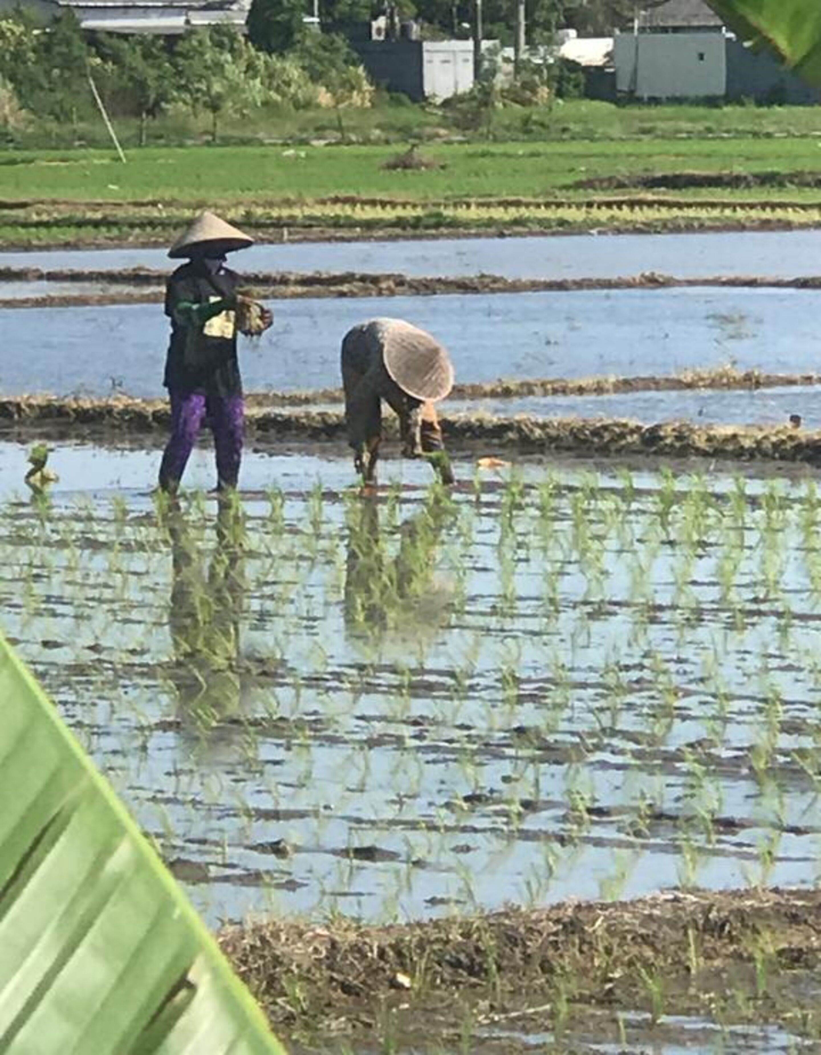 Foto - Bali Eco Living Yoga Healing Meditation and Retreat Center