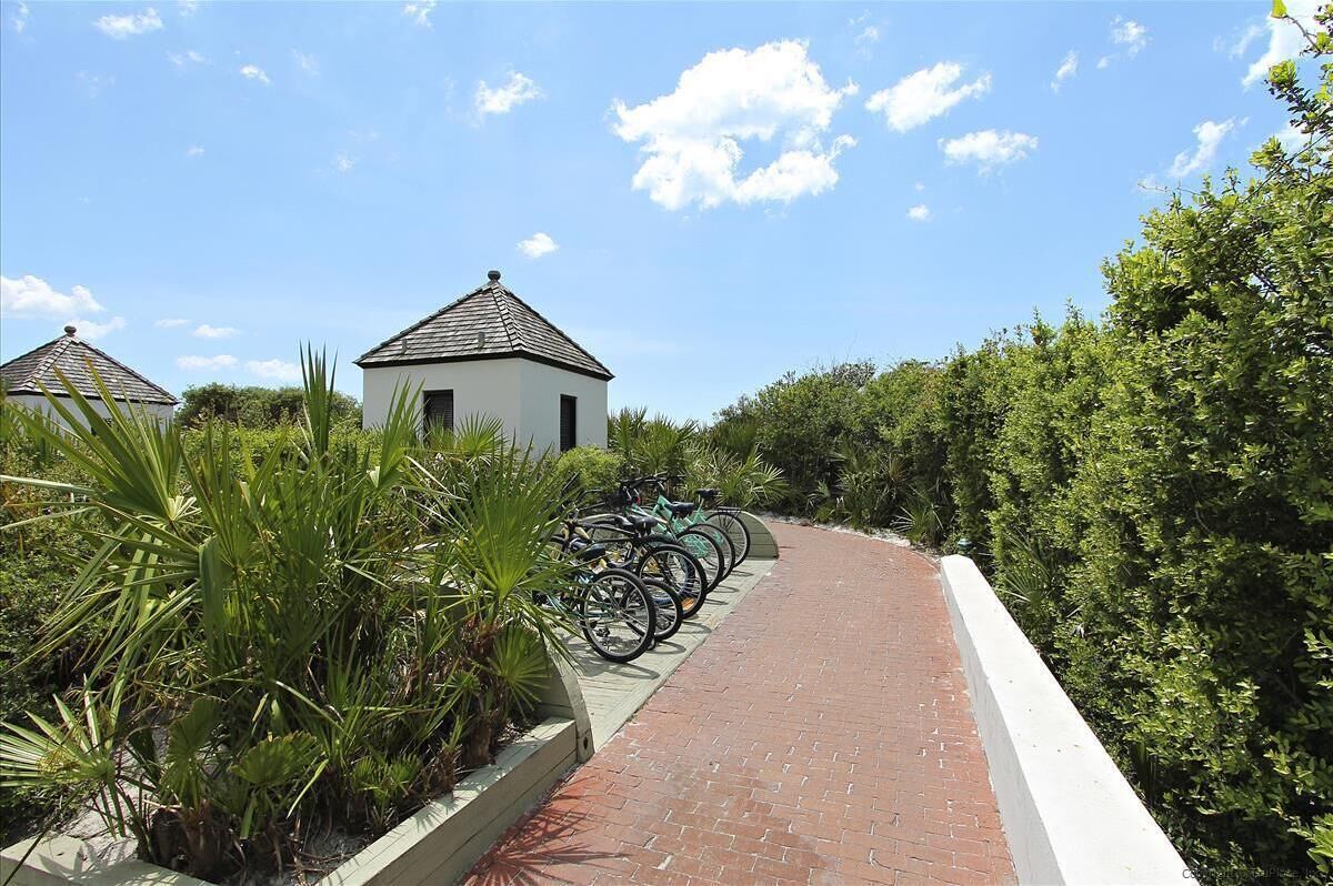 Un sendero bordeado por bicicletas y rodeado de abundante vegetación.