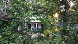 A lush garden with a white building surrounded by dense foliage. - Venus Paradise (Sigiriya)