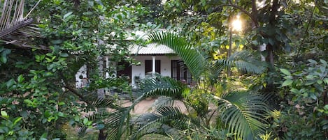 A lush garden with a white building surrounded by dense foliage.