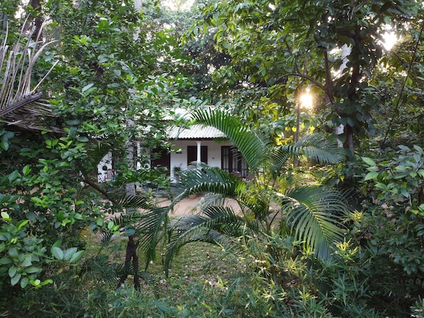 A lush garden with a white building surrounded by dense foliage.