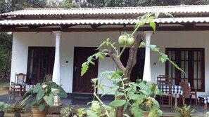 Front of property - Venus Paradise (Sigiriya)