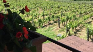 A balcony with a view of a vineyard and distant mountains. - Trebbiano-Panoramic apartment with swimming pool and vineyard (Reggello)