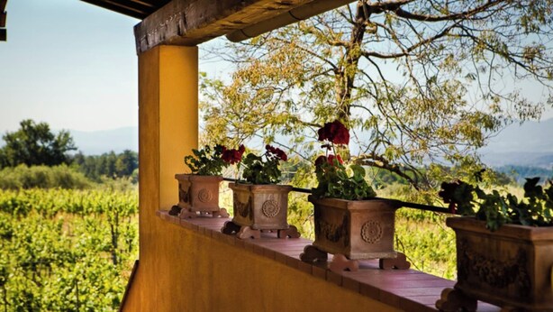 A balcony with potted plants and a view of a vineyard. - Trebbiano-Panoramic apartment with swimming pool and vineyard (Reggello)