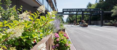 A landscaped garden with various plants and flowers, a wooden planter, and a building with a modern design in the background.