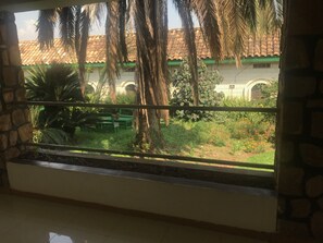 Vista desde la propiedad