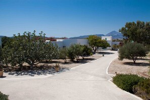 Property grounds - Villa in an oasis of peace close to the most beautiful beaches and all Milos services (Milos)