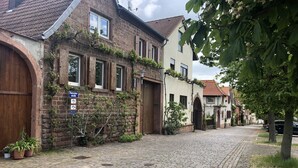 Bicycling - Gästehaus Susanne Pfaffmann (Landau in der Pfalz)