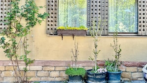 A building exterior with a window, potted plants, and a stone wall. - Gästehaus Susanne Pfaffmann (Landau in der Pfalz)