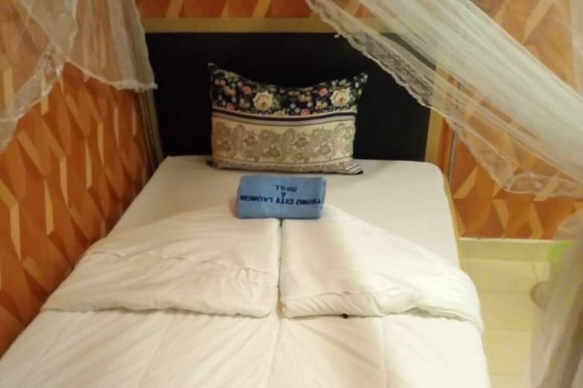 A bed with a white mattress and a blue pillow with text, a decorative pillow, and a canopy.