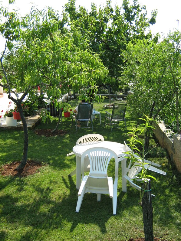 Relax in a serene outdoor space surrounded by lush greenery and trees.