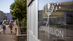 A window with the text "Dandelion Boutique Hostel" and a logo. - Dandelion boutique hostel (Zadar)