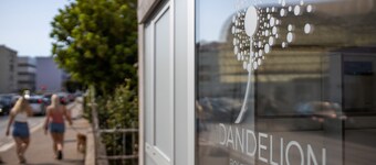 Dandelion boutique hostel