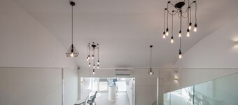 Dandelion boutique hostel