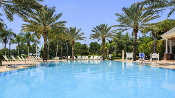 A clear blue pool surrounded by palm trees and lounge chairs.