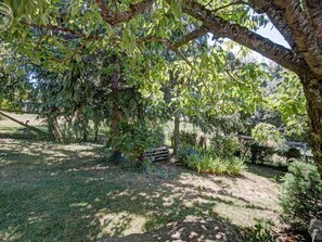 Property grounds - Spacious cottage with terrace and garden in Saint-Christo-en-Jarez (Saint-Christo-en-Jarez)