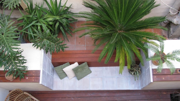 Un balcon doté d’un plancher en bois, d’un mur recouvert de carreaux blancs et de divers pots de plantes, notamment un grand palmier et un cactus.