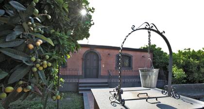 The Garden in the City Center