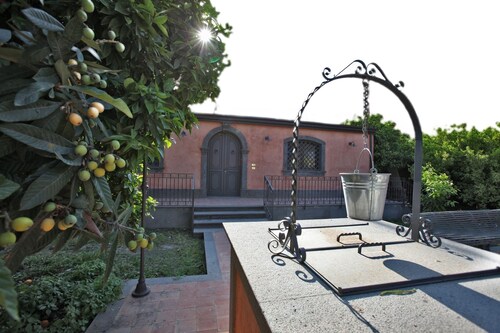 The Garden in the City Center