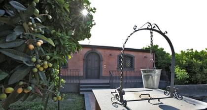 The Garden in the City Center