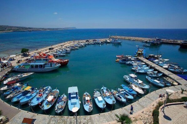 Un port de plaisance où de nombreux bateaux sont amarrés en cercle.