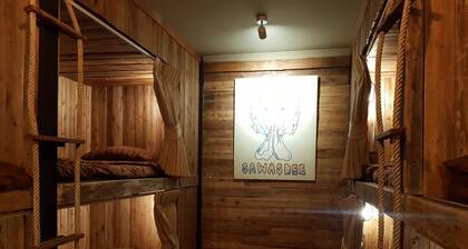 Cozy Cabin - Hostel