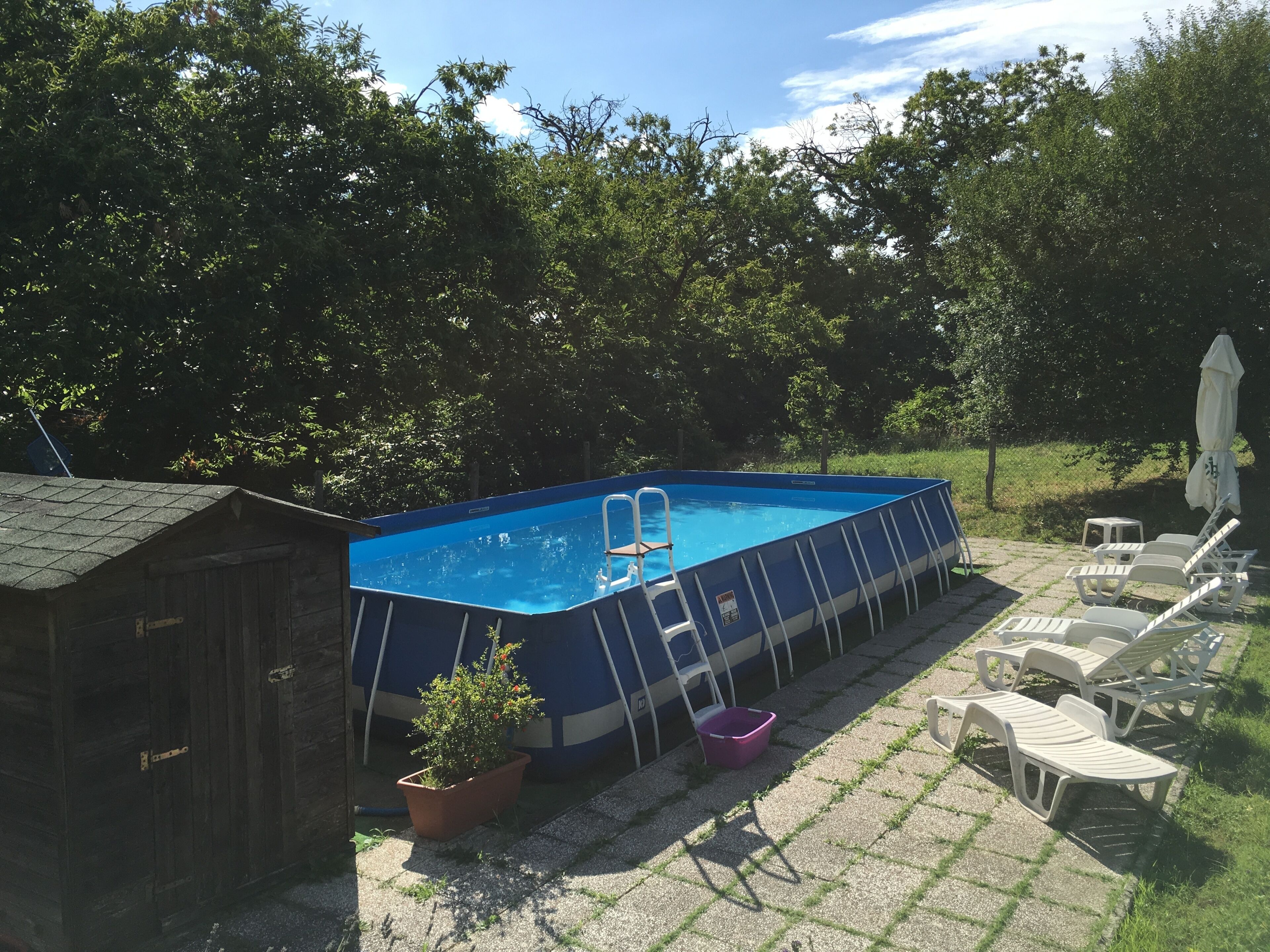 En rektangulær pool oven vands overflade med stige, omgivet af en træterrasse og en græsplæne med liggestole og et lille skur.