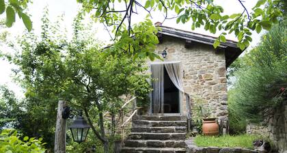 Apartment the Crocodile Feel the Nature