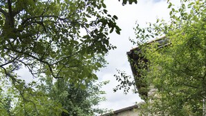 Apartment, 2 Bedrooms, Smoking, Fireplace | Exterior - Apartment the Crocodile Feel the Nature (Vicchio)