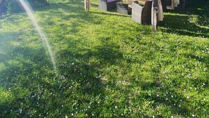 A wooden cabin with a canopy, surrounded by lush greenery and a clear sky. - Apartment the Crocodile Feel the Nature (Vicchio)