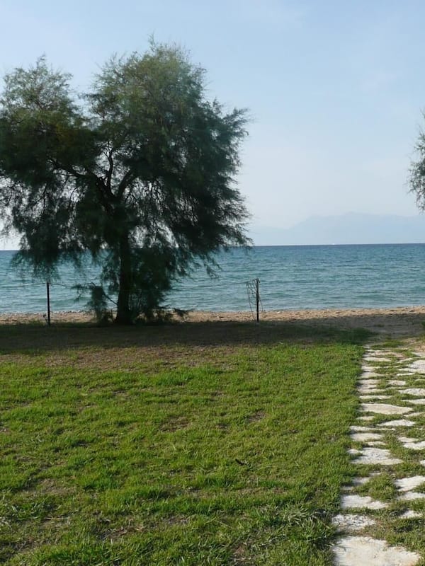 Plage, sable blanc, chaises longues, parasols