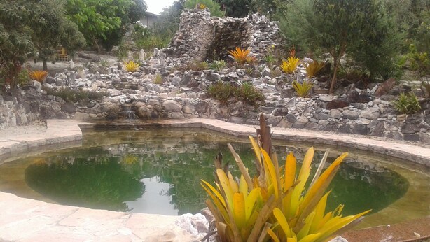 Un jardín con un estanque, rodeado de rocas y diversas plantas.