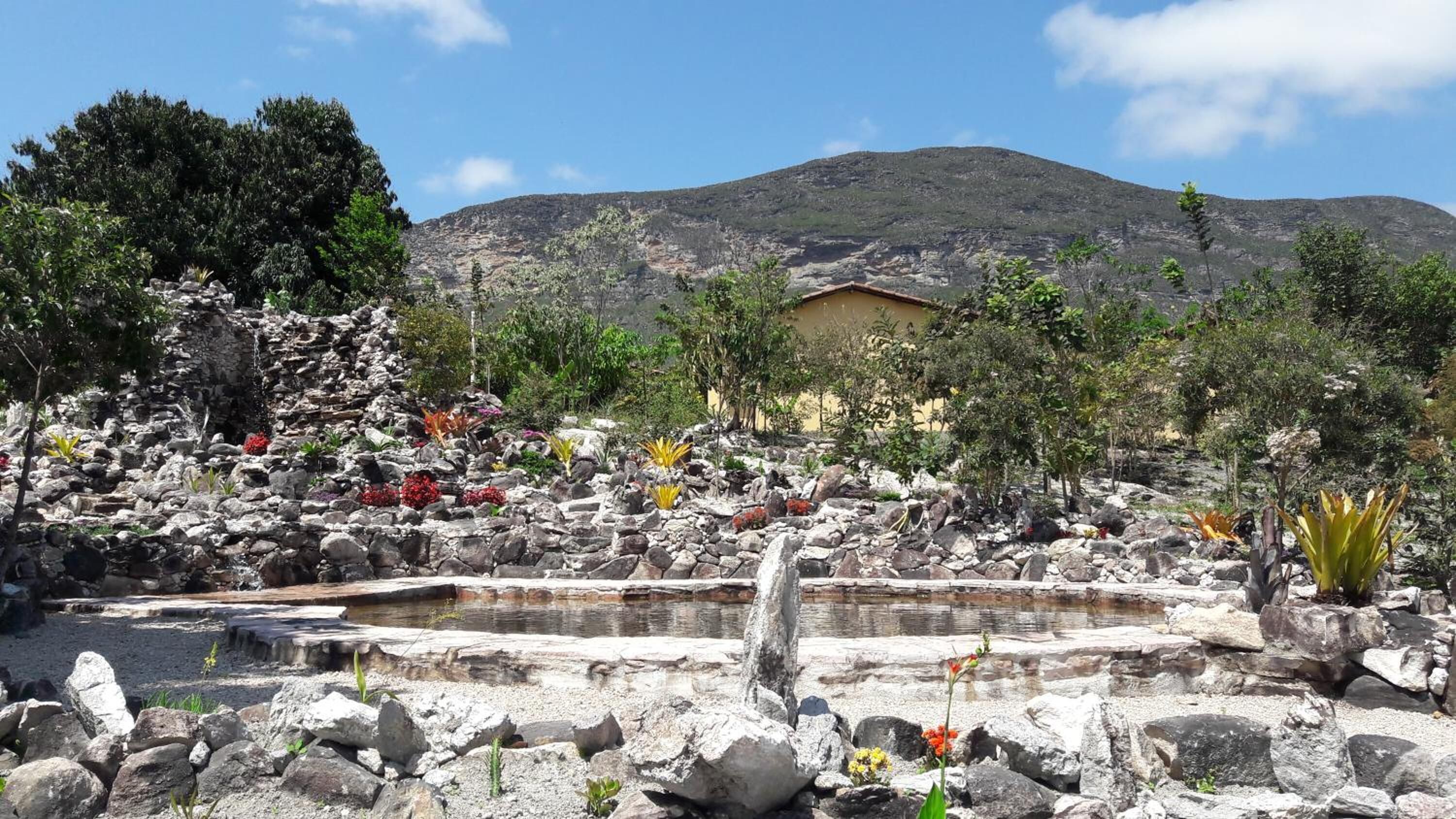 A garden with a pond, rocks, and various plants.