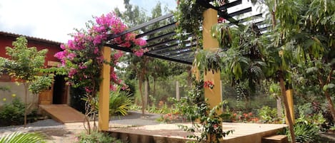 A garden with a pergola, various plants, and a building with a sign that reads "Restaurante".