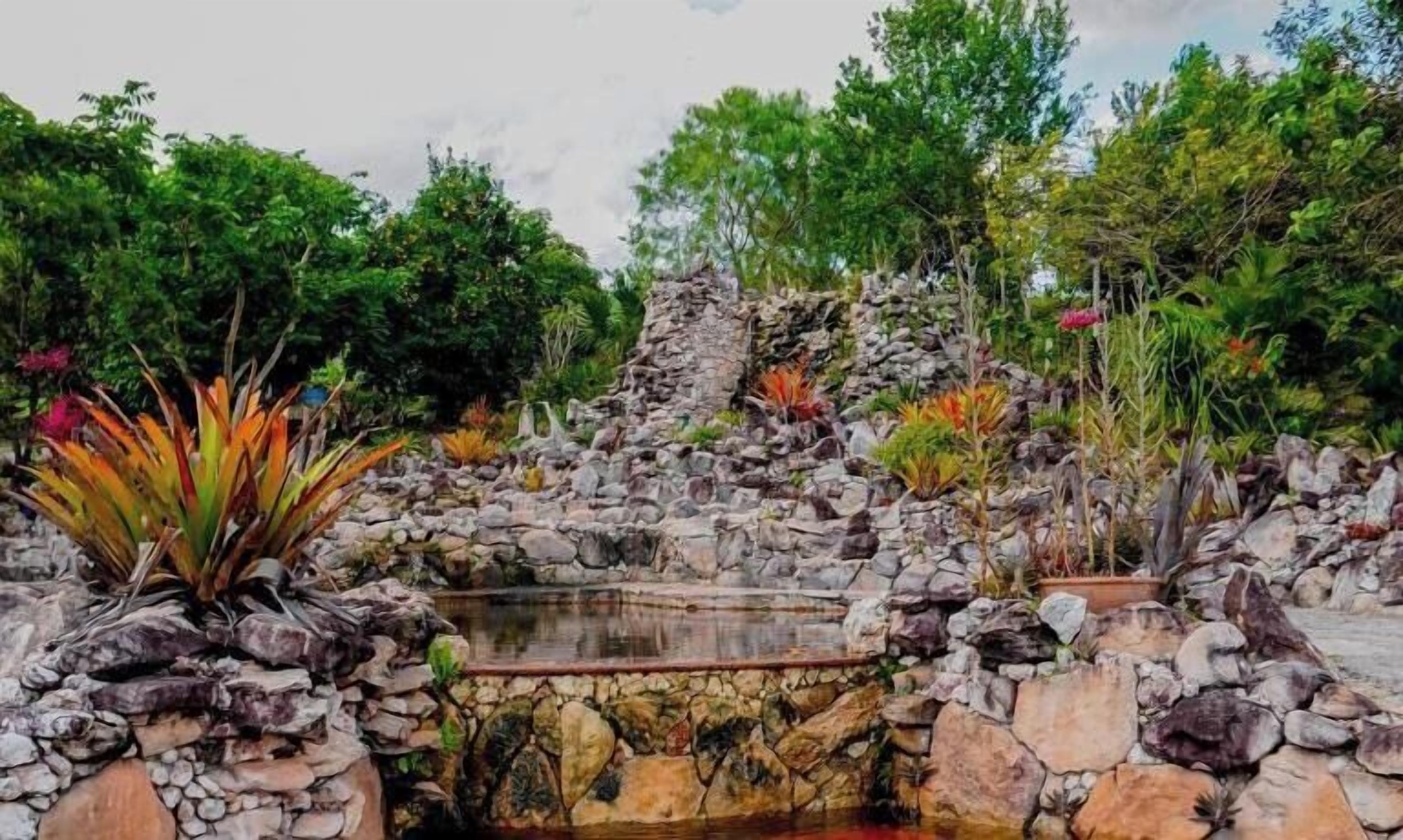 A garden with a pond, surrounded by rocks and various plants.