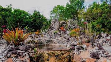 Un jardín con un estanque, rodeado de rocas y diversas plantas.