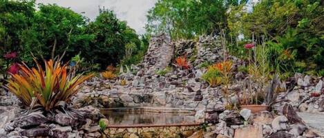 A garden with a pond, surrounded by rocks and various plants.