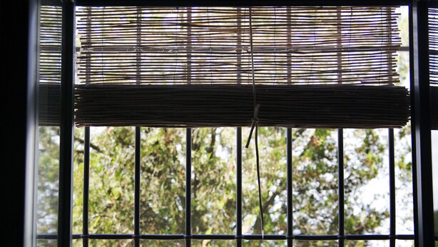 Ein Fenster mit Blick auf Grünfläche, ein Fensterladen und ein Blumentopf auf dem Fensterbrett.