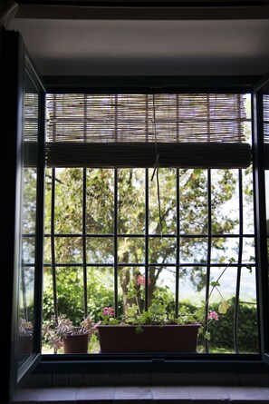 A window with a view of greenery outside, a window blind, and a potted plant on the windowsill. - Apartment the Fireplace a Relax Oasis Near Florence (Vicchio)