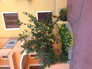 A building with balconies, a tree with yellow fruits, and a wall with plants.