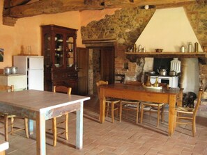 Una cocina rústica con pared de piedra, armarios de madera y chimenea de ladrillo.