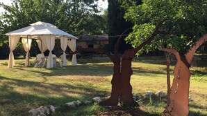 Un árbol con una textura de corteza distintiva, una zona cubierta de césped con rocas, y una estructura blanca similar a una carpa con sillas.