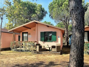 Kamer, 2 slaapkamers, roken, balkon | Terras