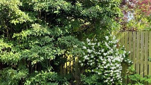 Ein Garten mit üppiger Bepflanzung, einem Holzzaun und einem kleinen Laternenpfosten.