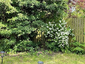 Escape to a serene garden oasis with lush greenery and vibrant flowers.