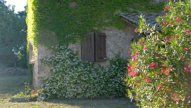 Un edificio rústico de piedra con muros cubiertos de hiedra y una ventana de madera.