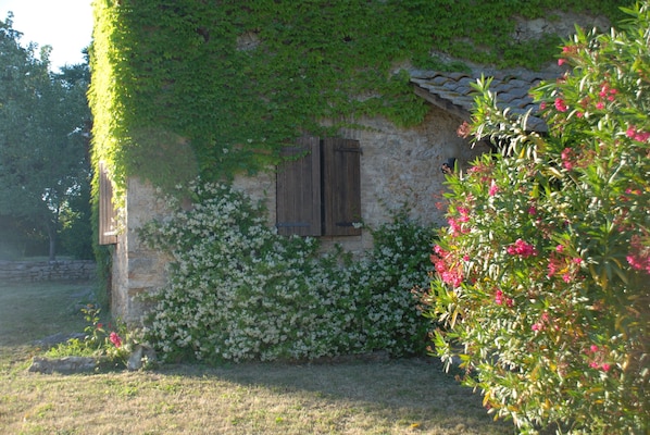 Appartement, 2 chambres, foyer, vue sur le jardin | Jardin
