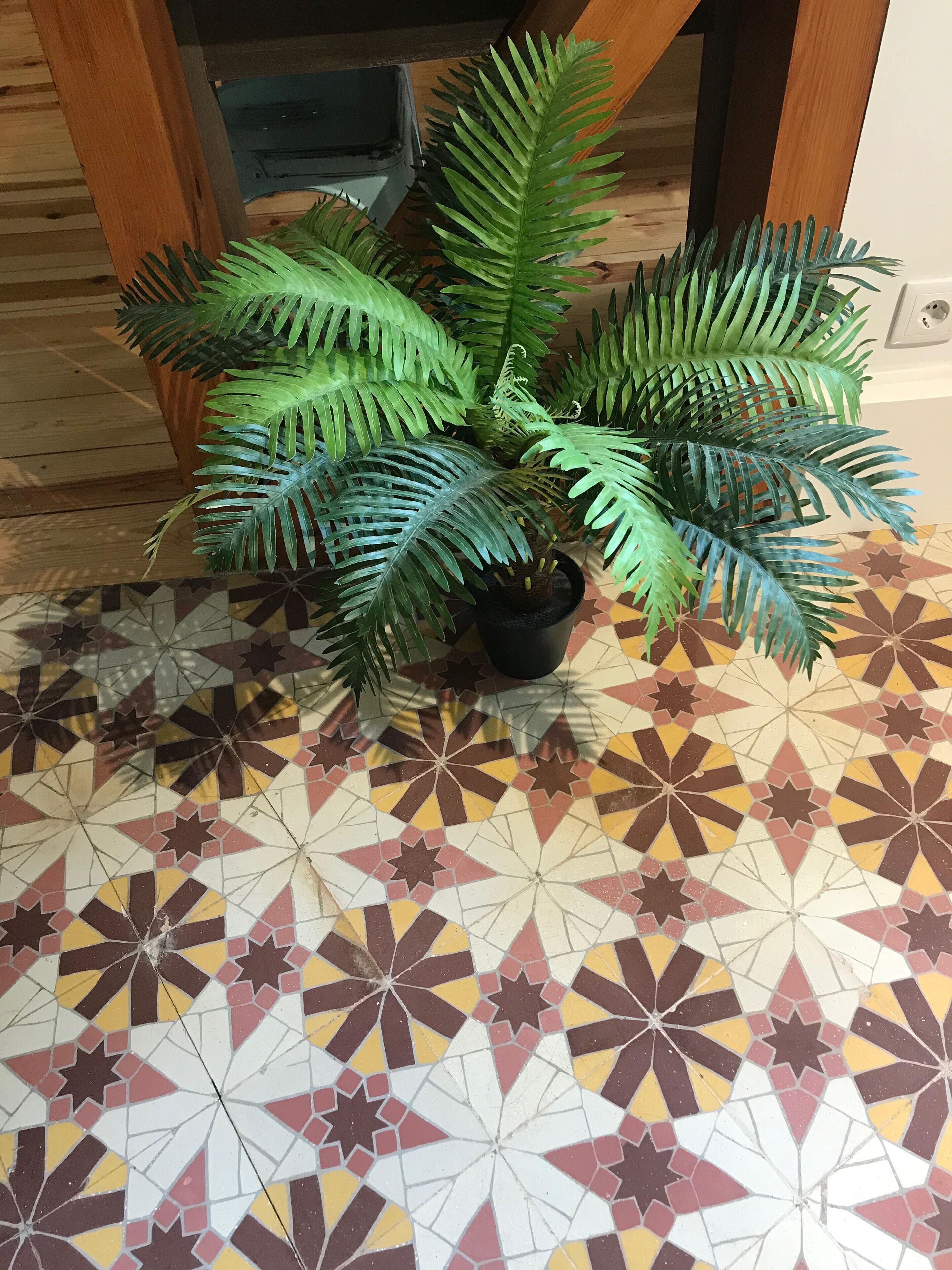 A potted plant with large green leaves on a patterned floor.
