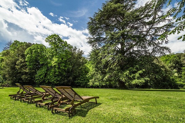 A grassy area with wooden lounge chairs arranged in rows.